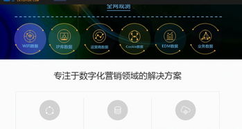 专业互联网营销服务 定制方案与多样化产品助力业务增长
