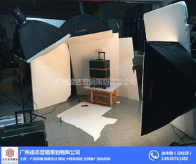 番禺区网页建设 凌志营销策划助力优质商家实现互联网销售增长